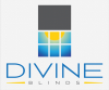 divine blinds logo